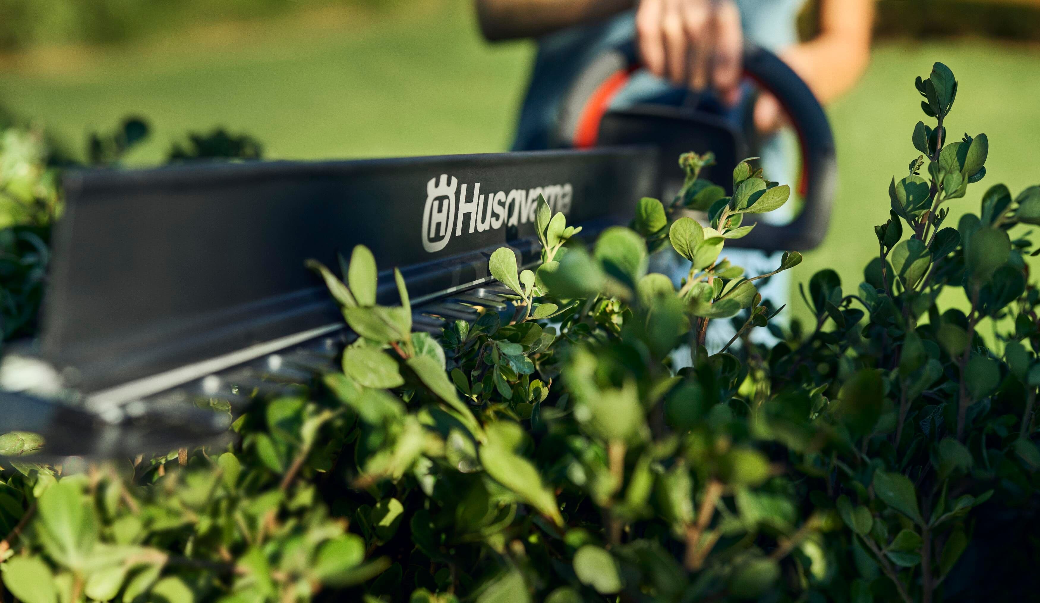 man wearing ppe with chainsaw